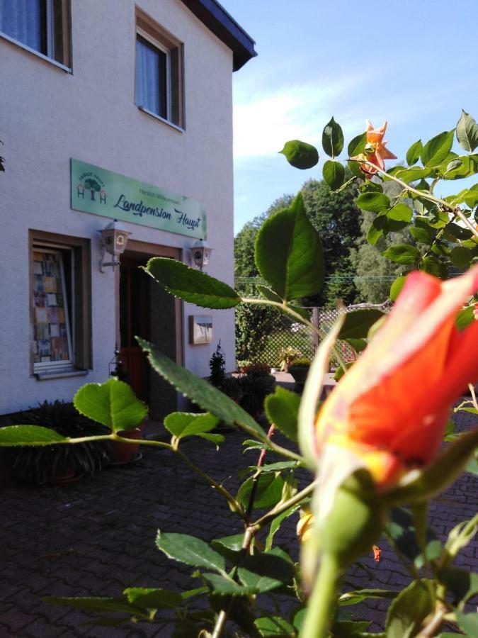 Landpension Haupt Sebnitz Eksteriør bilde